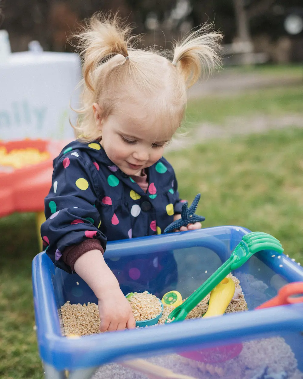 A young child with blonde hair in pigtails plays with toys in a sensory bin filled with rice.