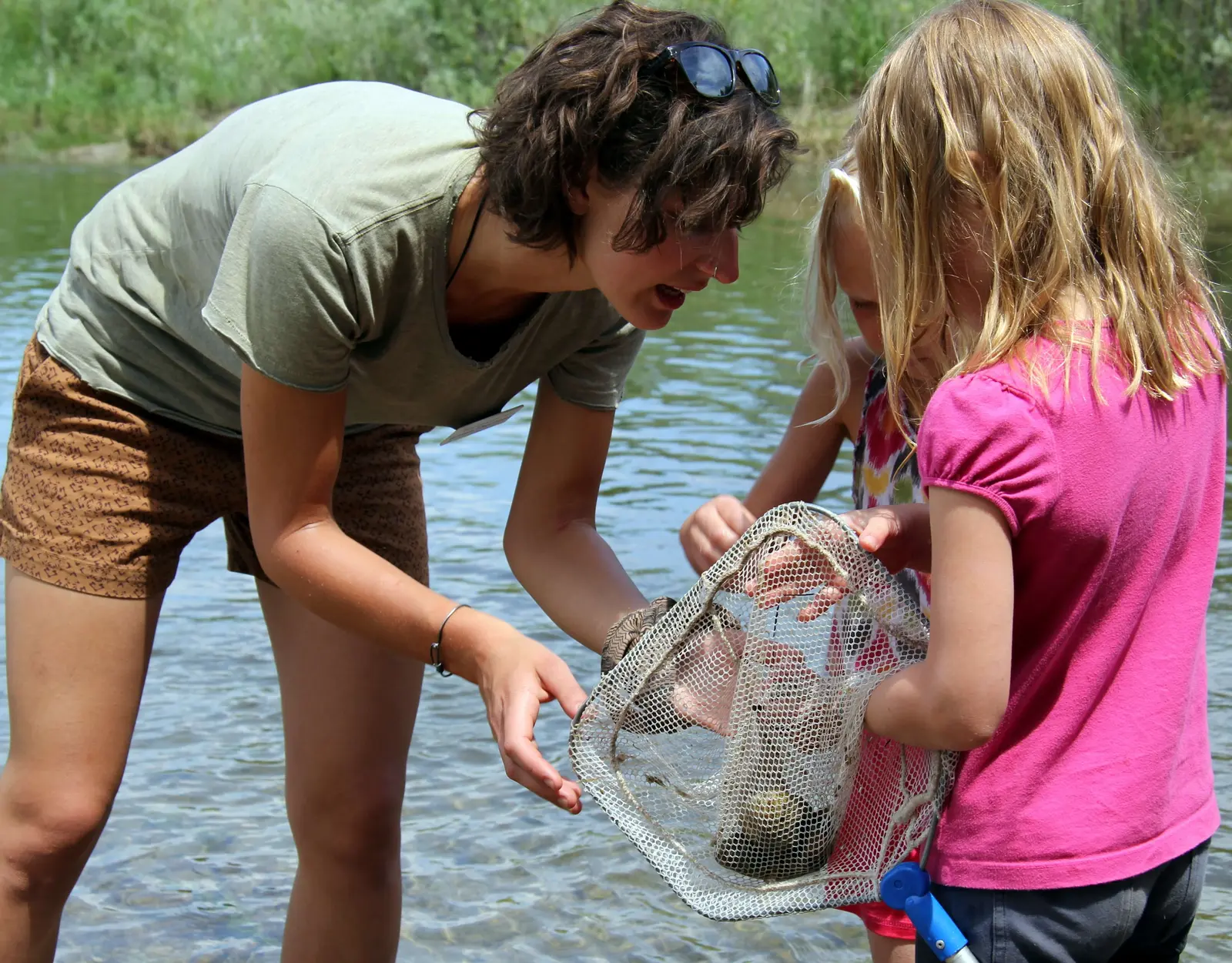 An adult shows two children something captured in a net while standing in a shallow stream.