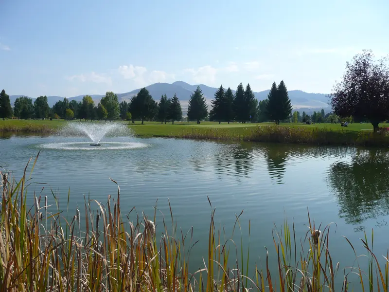 pond.jpg