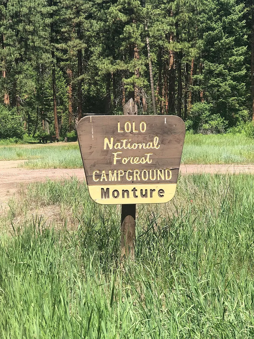 A wooden sign for a national forest campground stands in a grassy field in front of a forest.