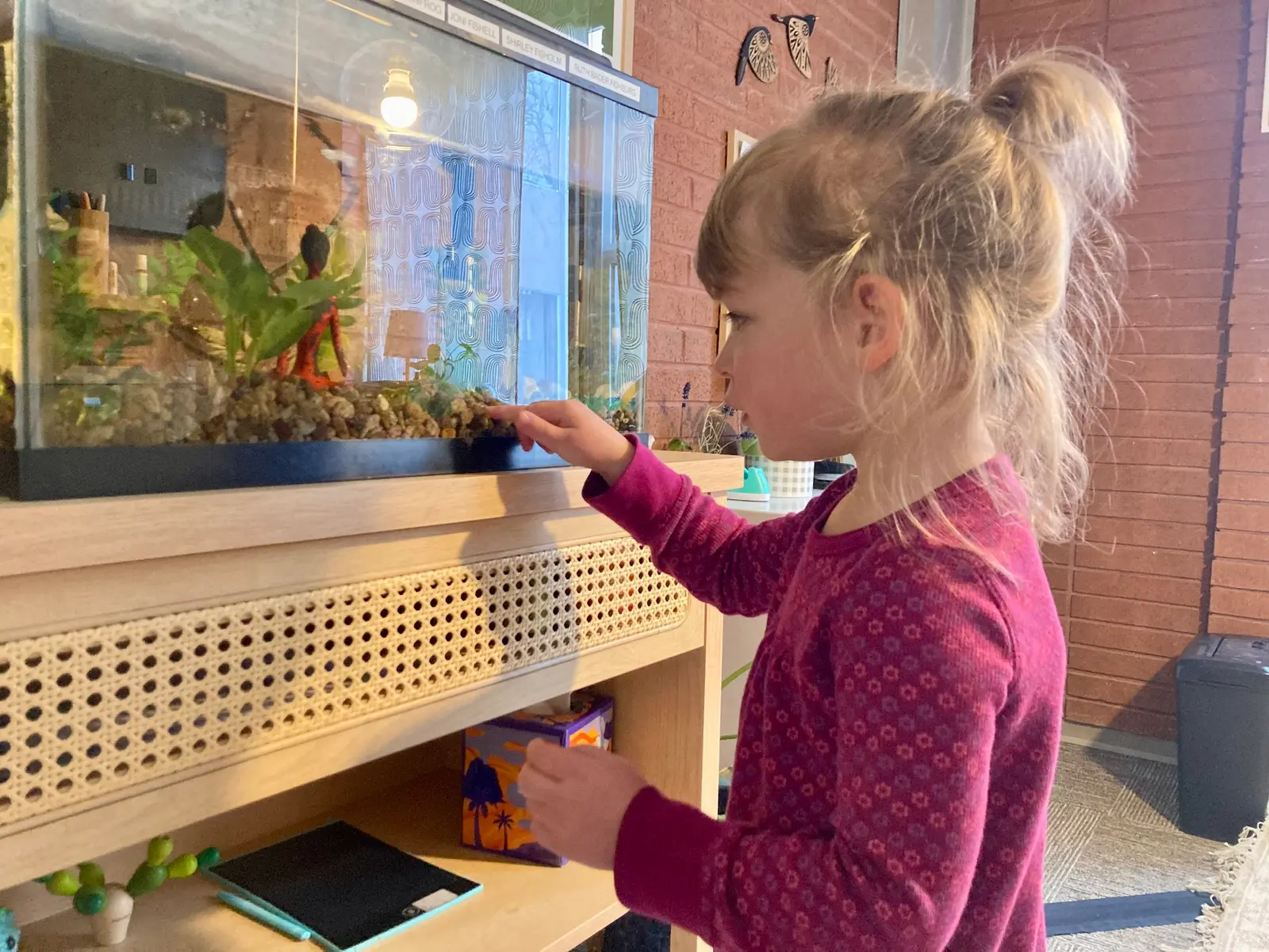 A young girl points at an aquarium while standing in a room.