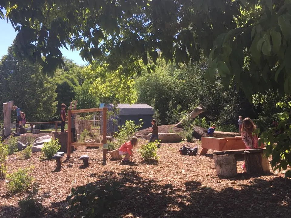Children play in an outdoor natural playground area.