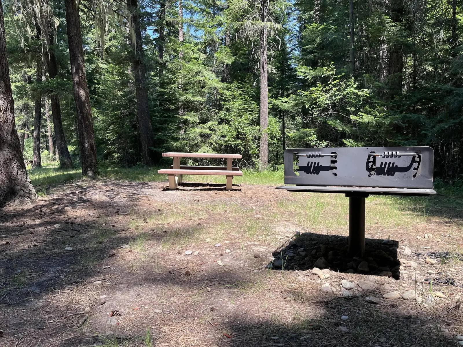 Image of a campsite at the Trout Creek Campground on the Lolo National Forest, Montana.