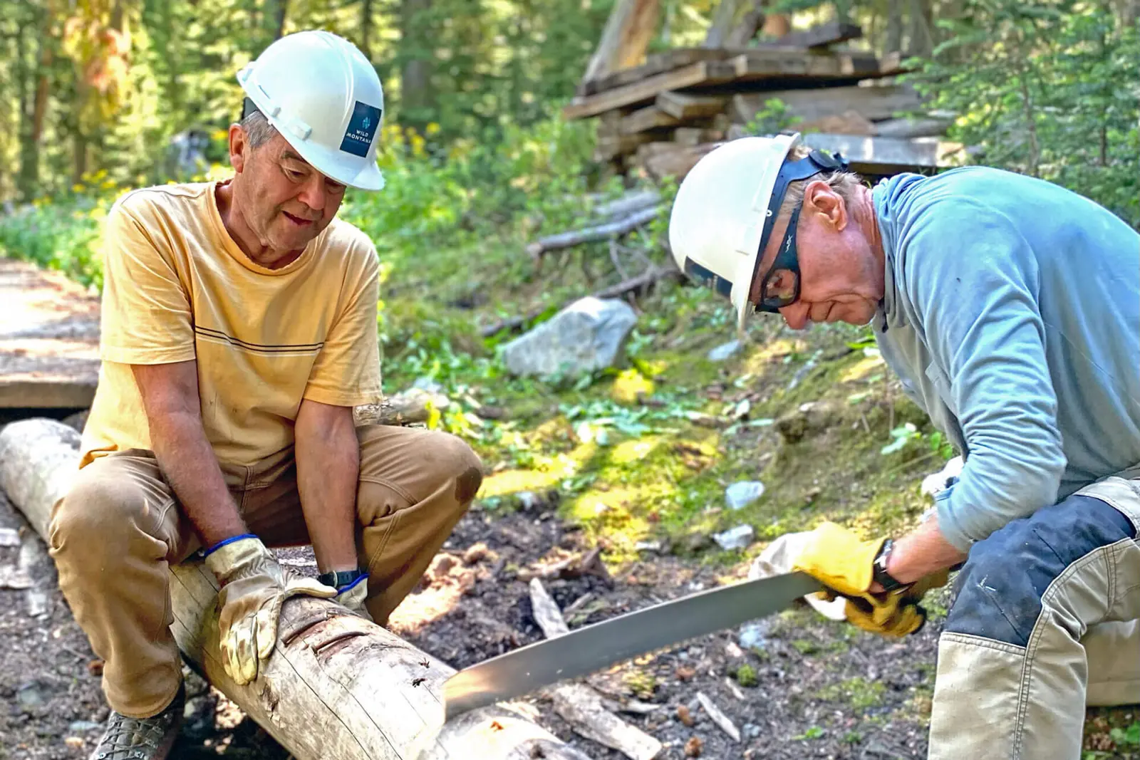 Two adults wearing hard hats and work gloves use a large hand saw to cut through a log in a wooded area.