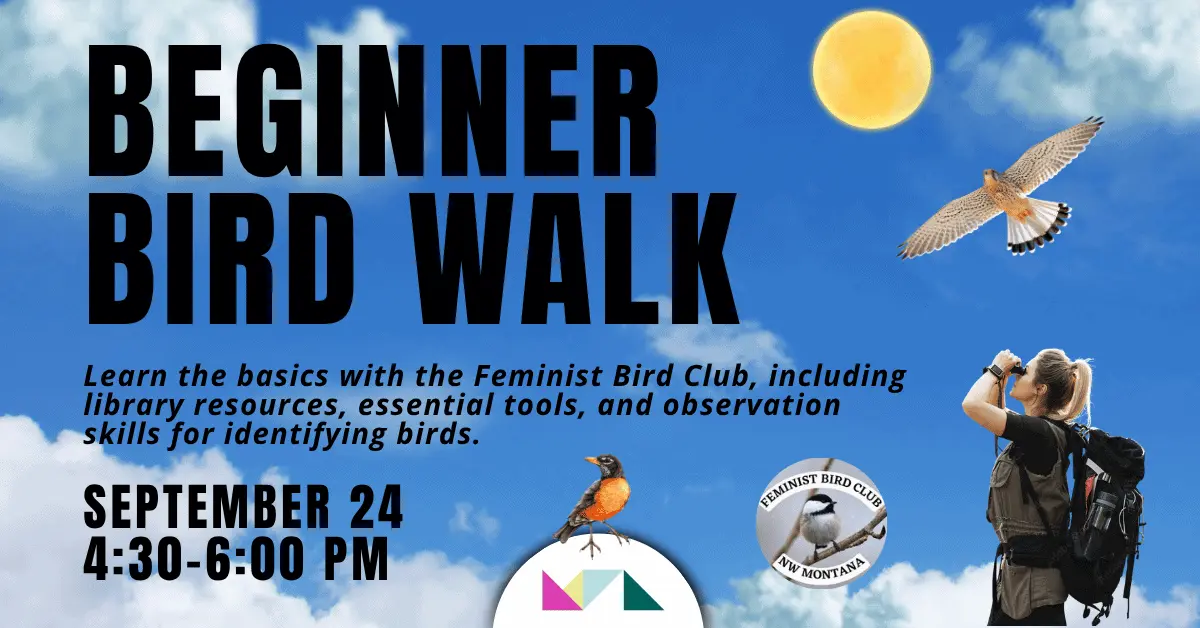 Beginner Bird Walk