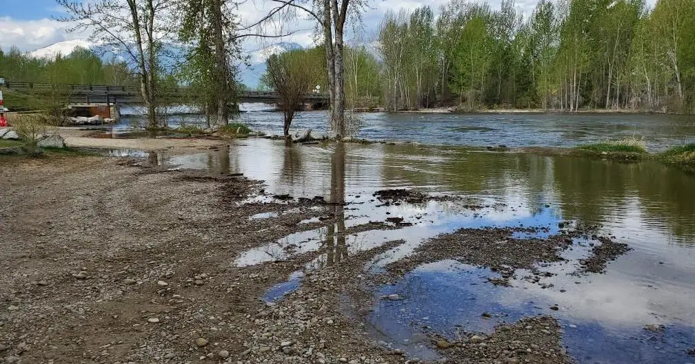 A view of a river bank with a bridge in the distance and trees along the shore.