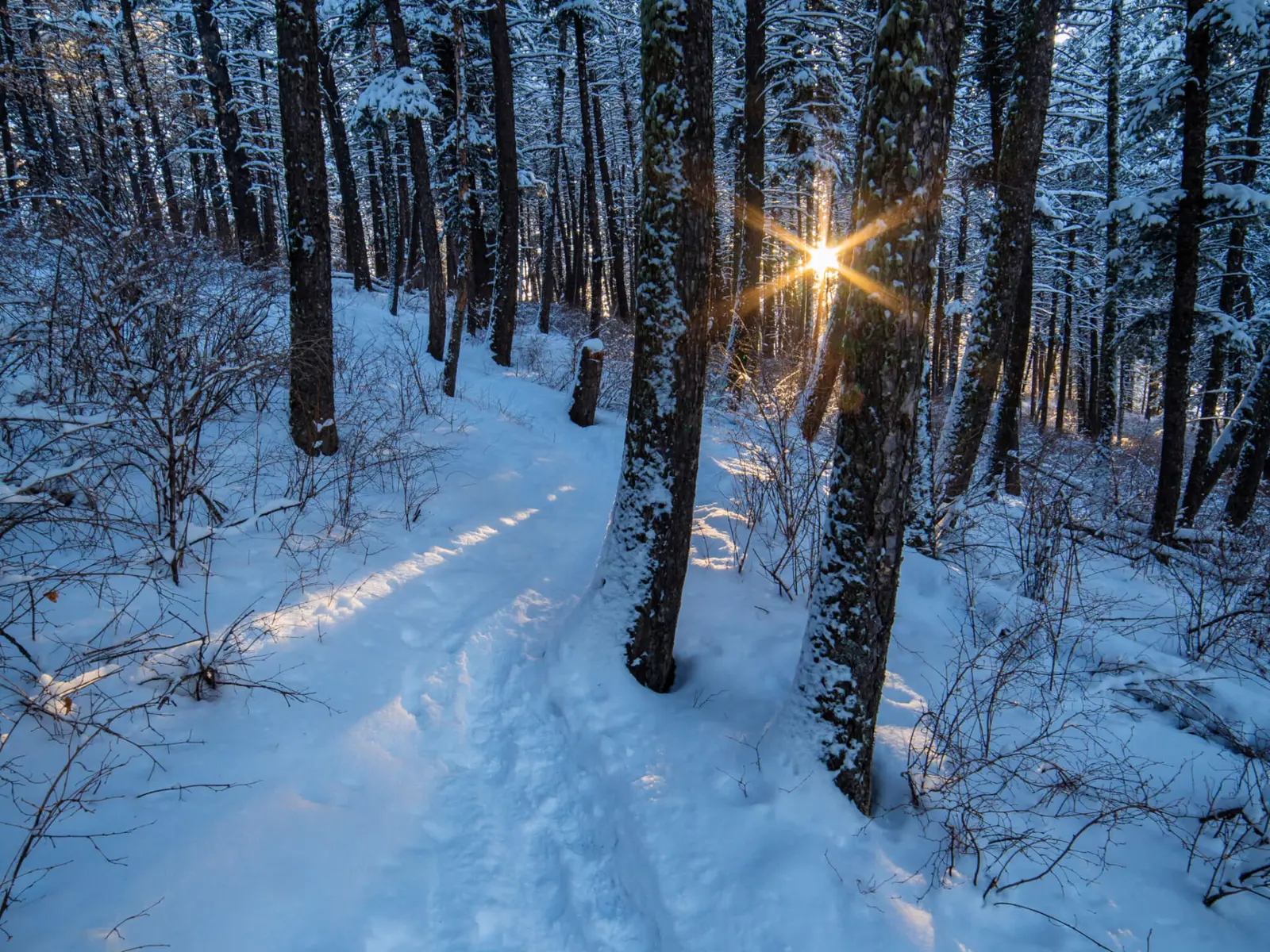 Hiking trail in snow
