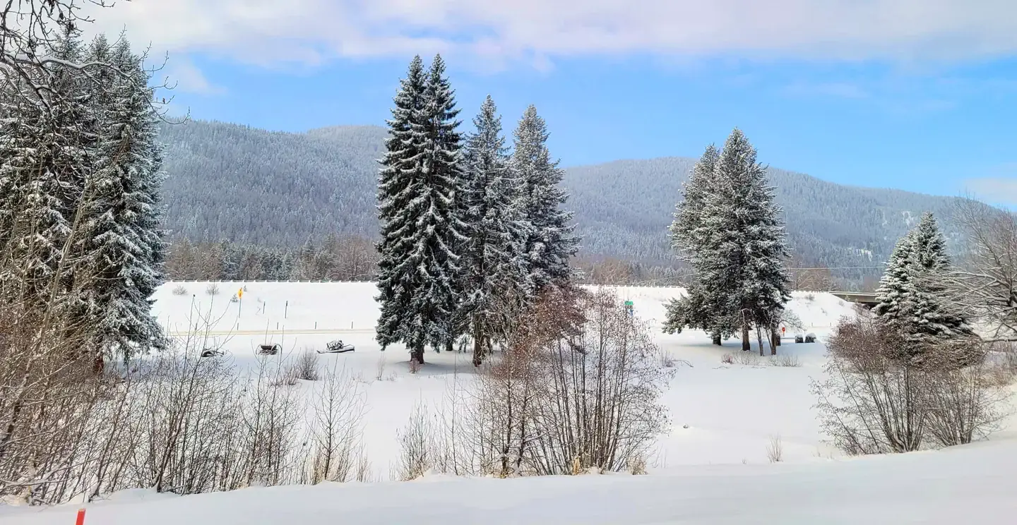 Winter pond view.