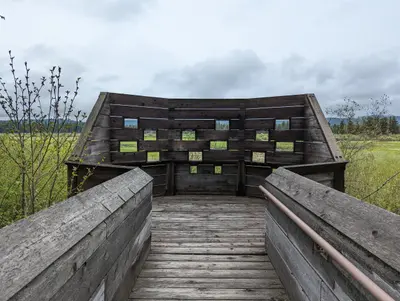 The Wildlife Viewing Blind