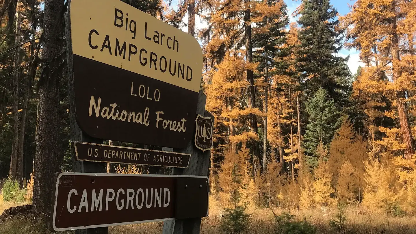 Big Larch Campground Entrance Sign. It reads: Big Larch Campground, Lolo National Forest, U.S. Department of Agriculture, Campground. Western Larch trees displaying fall colors can be seen in the background.