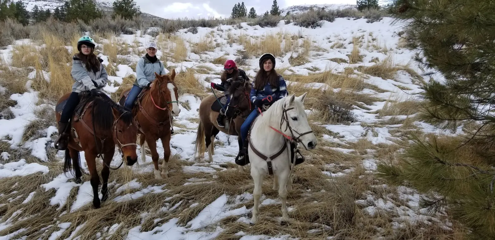 A group of people wearing helmets ride horses through a snow-covered field.