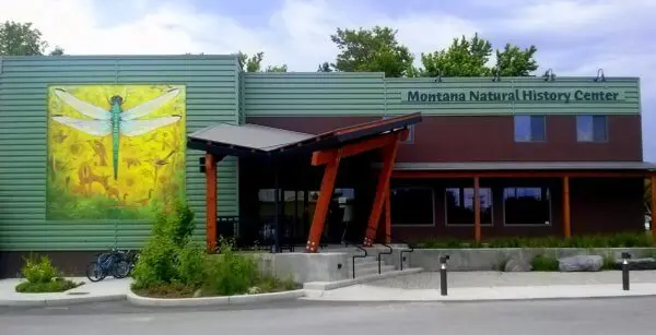 The exterior of the Montana Natural History Center building features a large mural of a dragonfly.