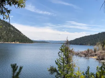 view of lake and trees