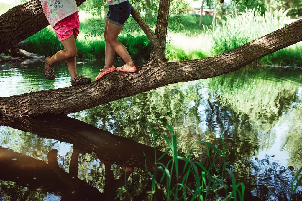 Two children walk across a fallen tree trunk over a creek.
