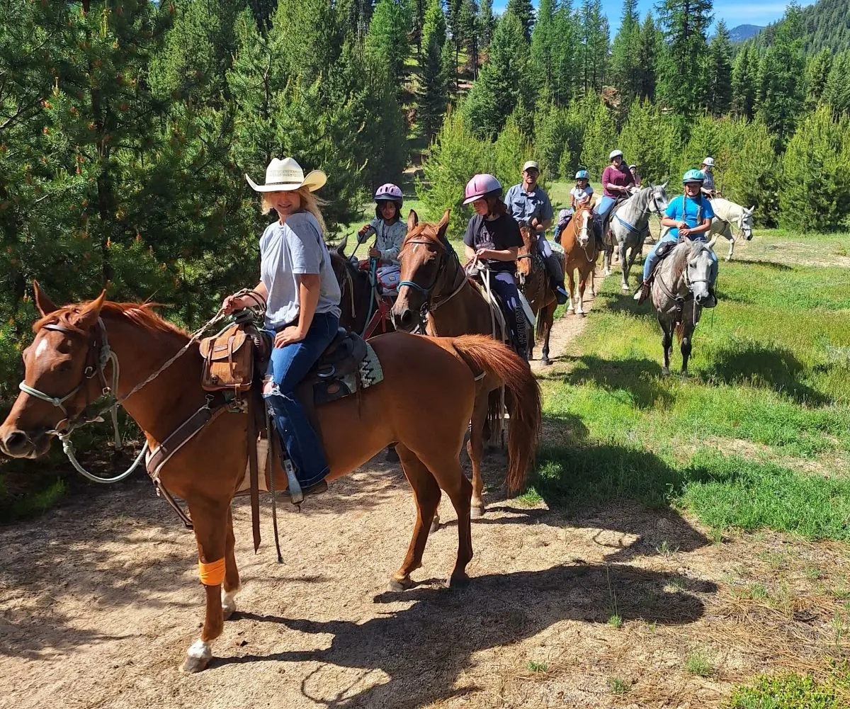 A group of people are riding horses in single file through a wooded trail.