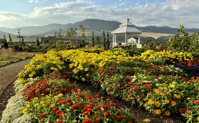Photo from missoulaeduplace.org A garden landscape features colorful flower beds in the foreground with a white gazebo set against distant mountains.