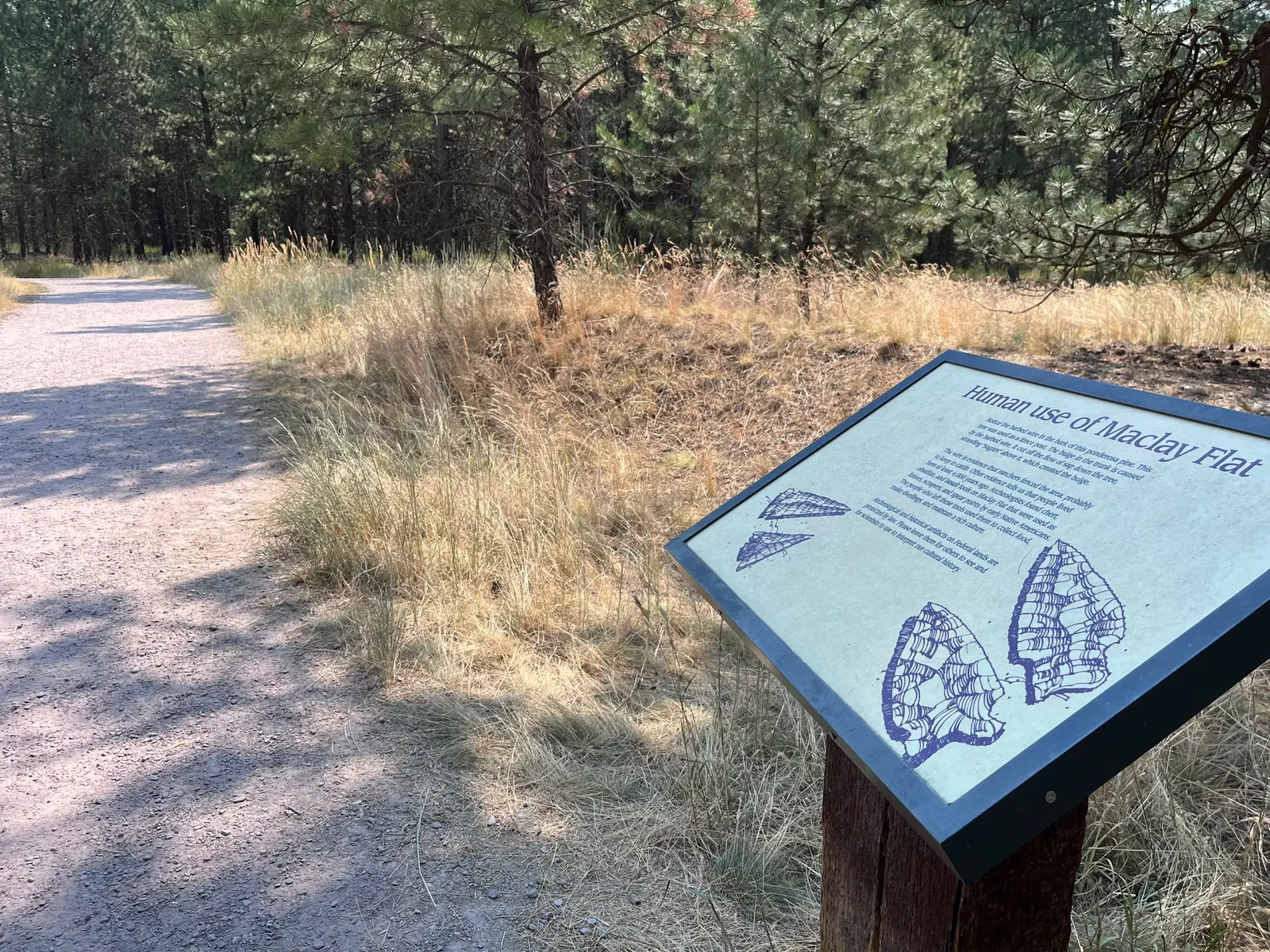 An informational sign sits alongside a dirt walking trail in a forest.