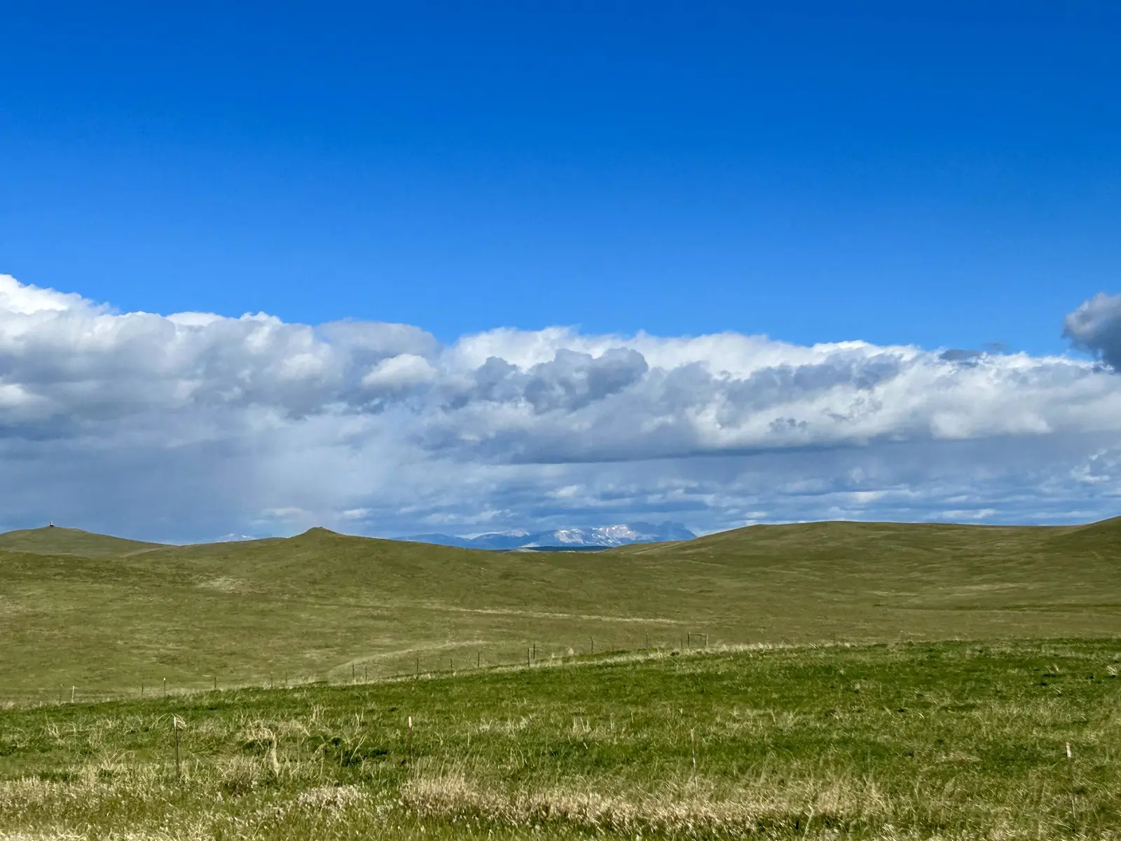 Rolling grassy hills stretch toward a distant mountain range under a cloudy blue sky.