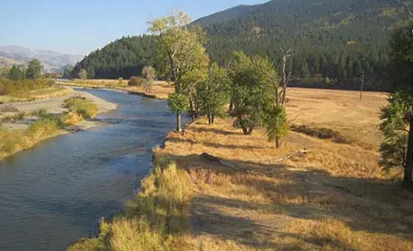 A river flows through a grassy valley next to a forested mountain range.