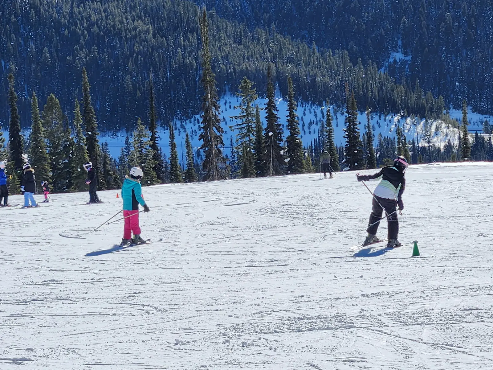 People are skiing on a snowy mountain slope with trees in the background.