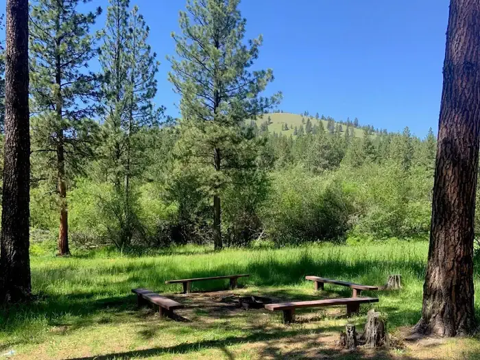 Pattee Picnic Site Fire RingFire Ring