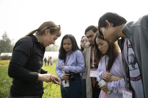 woman at outdoor event