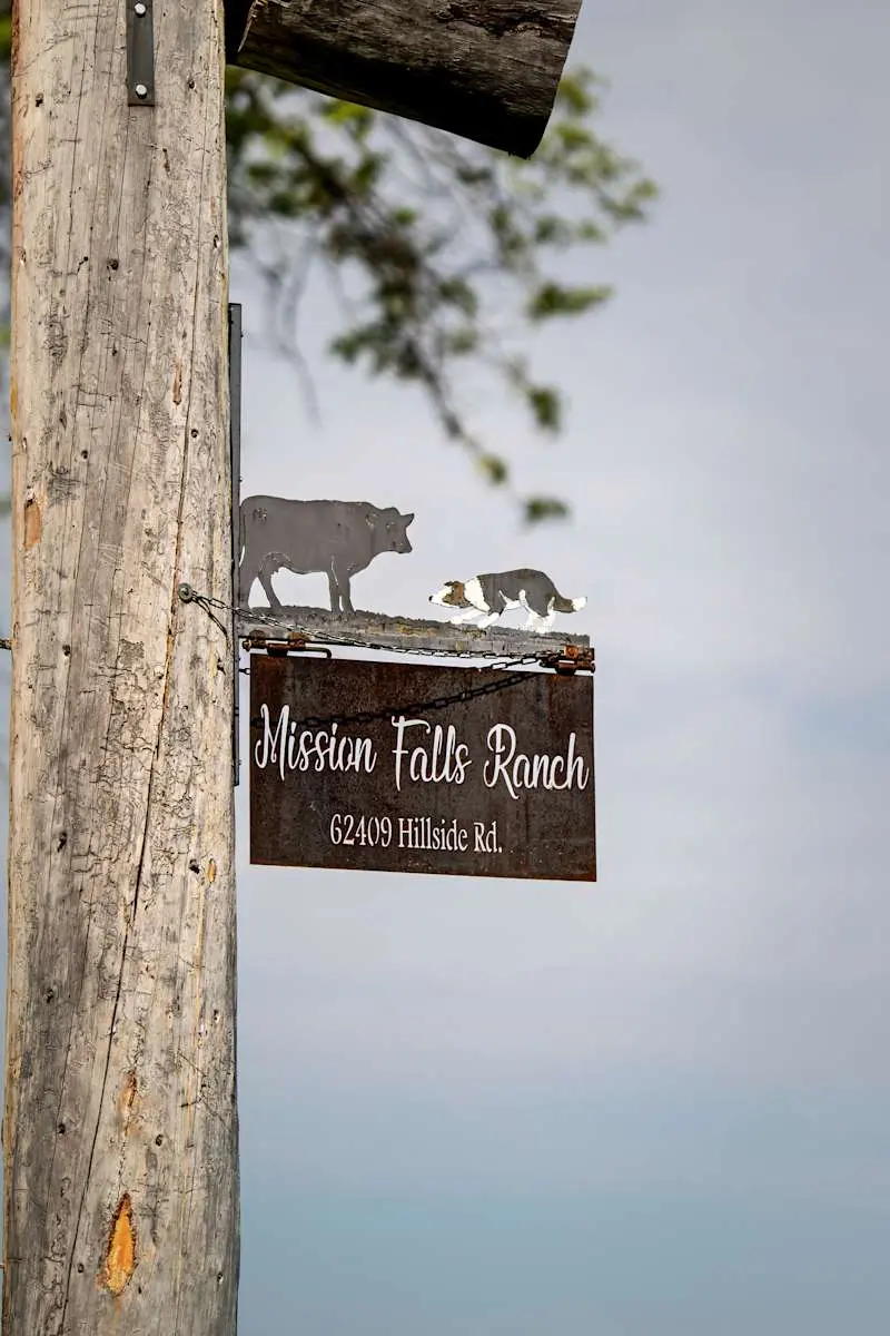 A metal sign hanging from a wooden post depicts a cow and a dog above the text Mission Falls Ranch.