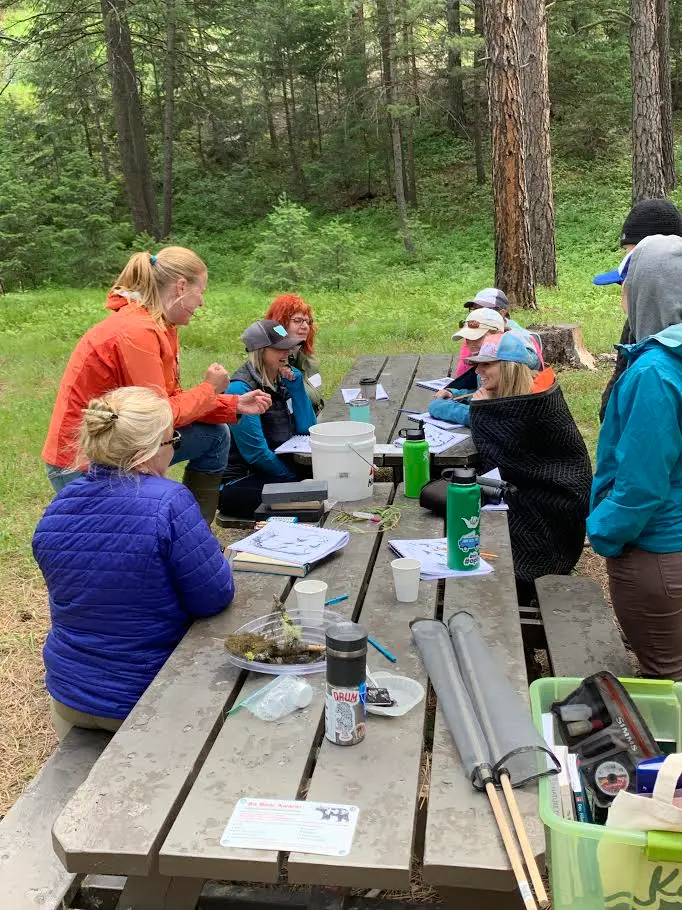 A group of adults participates in an outdoor educational workshop while seated at a picnic table in the woods.
