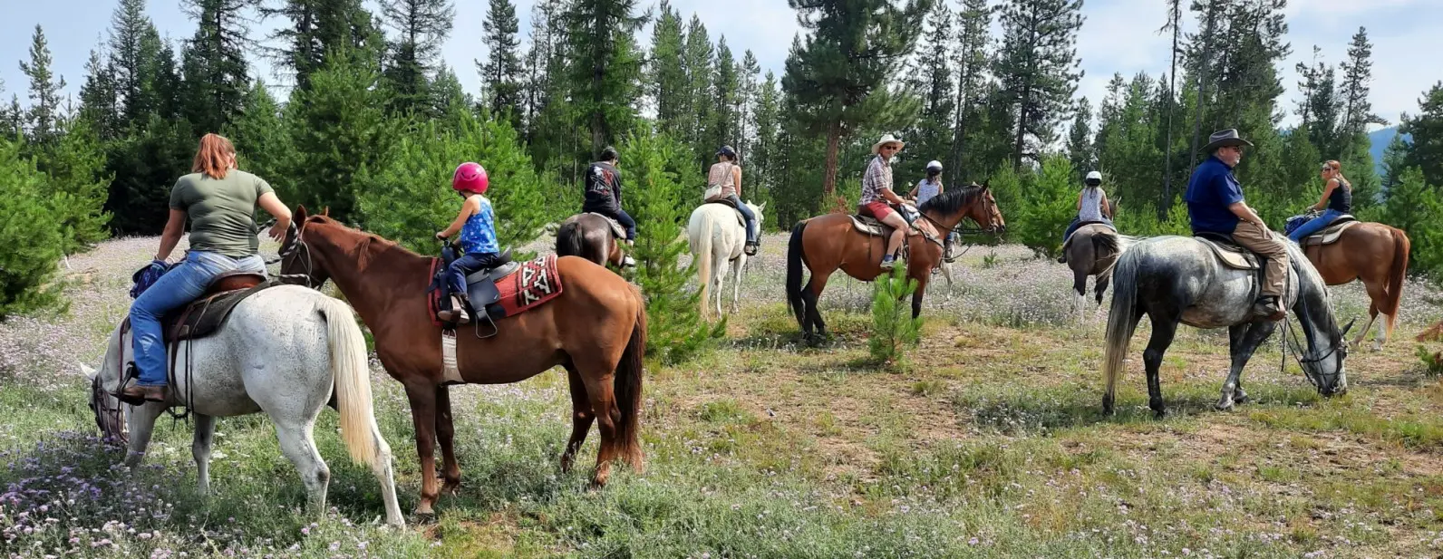 A group of people are riding horses through a wooded meadow.