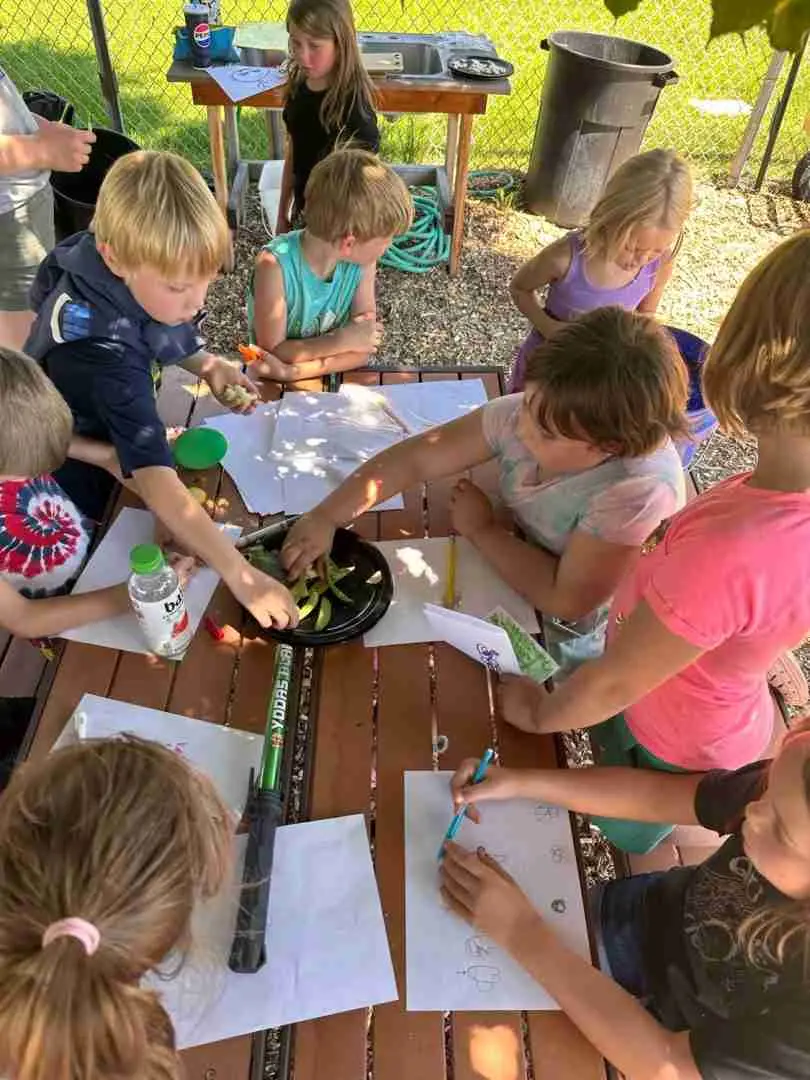 A group of children sits at a picnic table outdoors engaging in drawing and snacking activities.