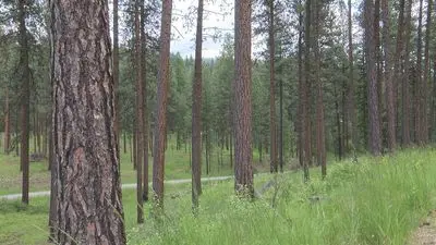Photo from nbcmontana.com D5.jpg