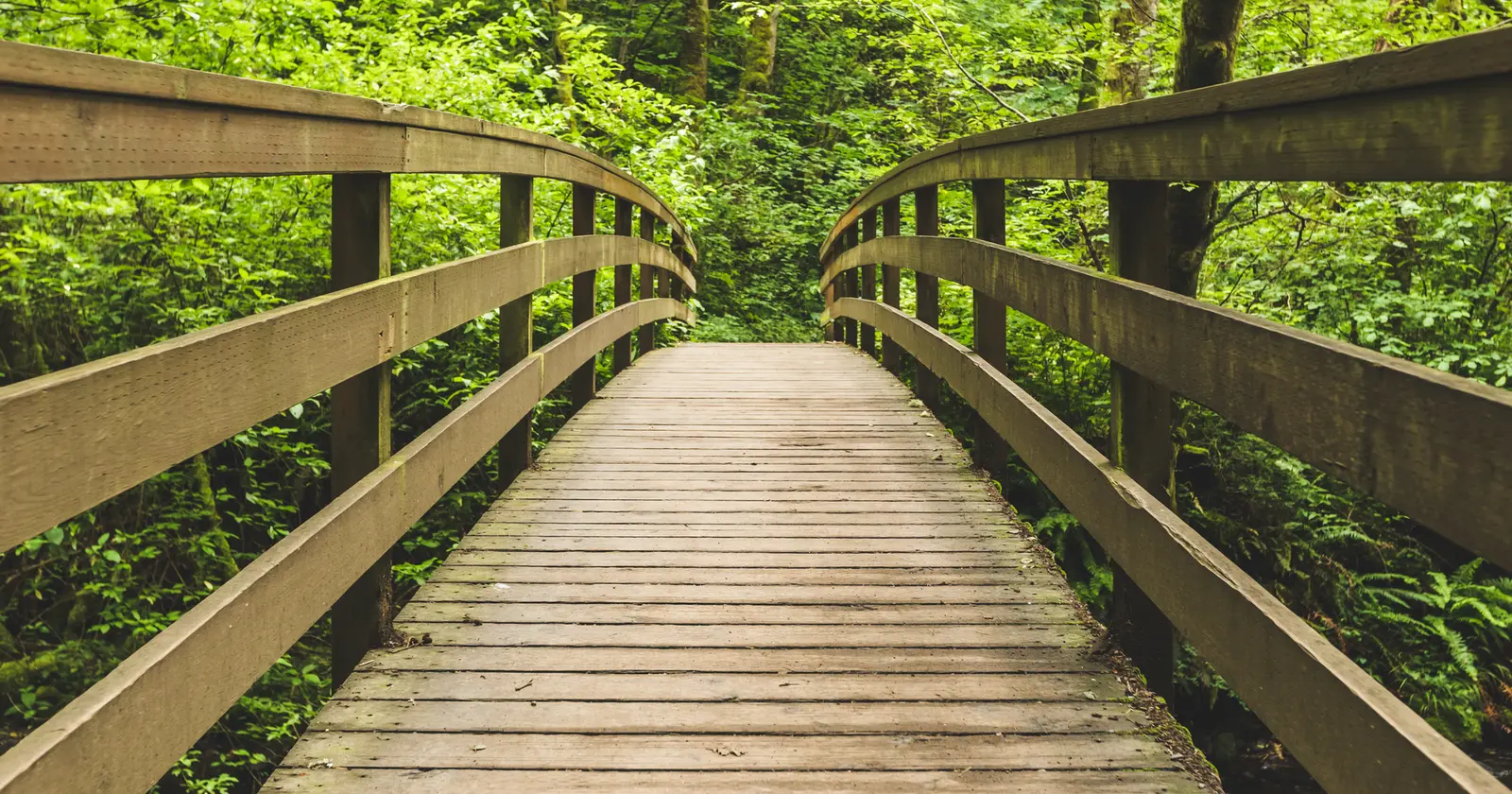 A wooden footbridge spans a path in a lush green forest.