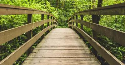 A wooden footbridge spans a path in a lush green forest.