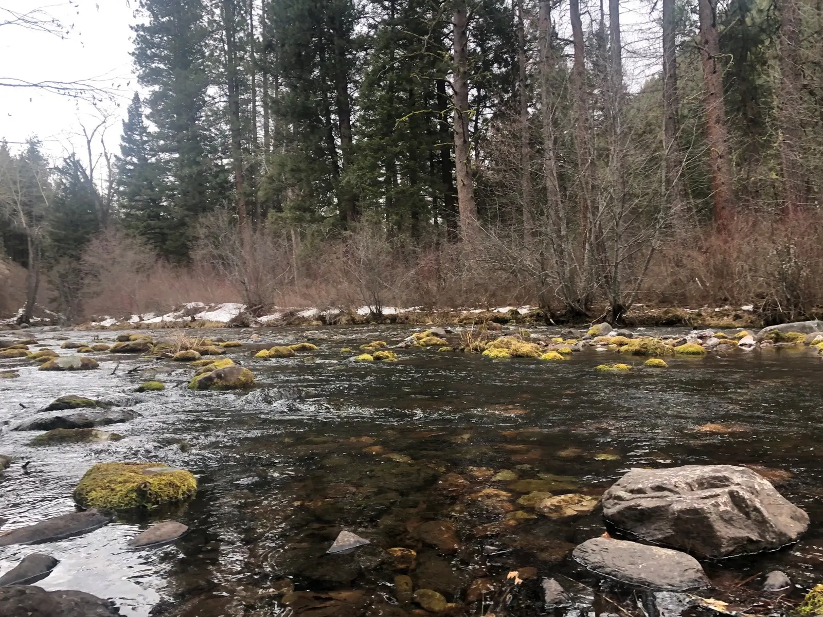 A river flows through a forest scene with mossy rocks and a small amount of snow on the bank.