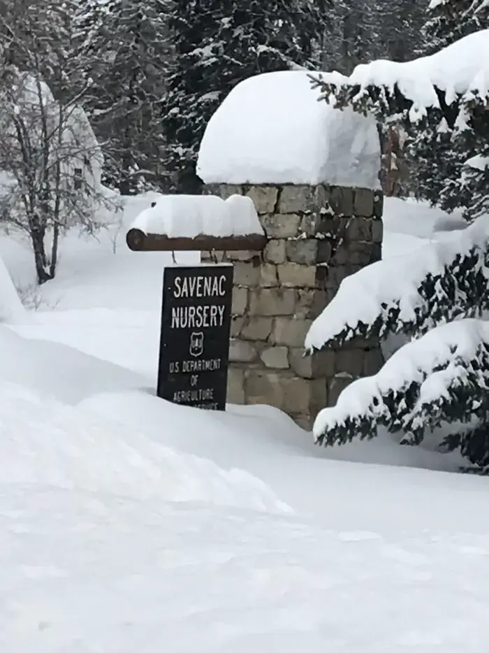 EntranceSavenac entrance