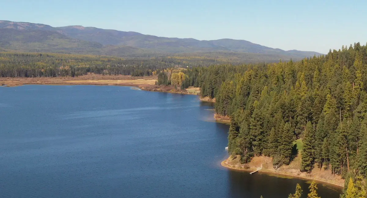 A serene lake is surrounded by a dense evergreen forest with mountains in the distance.