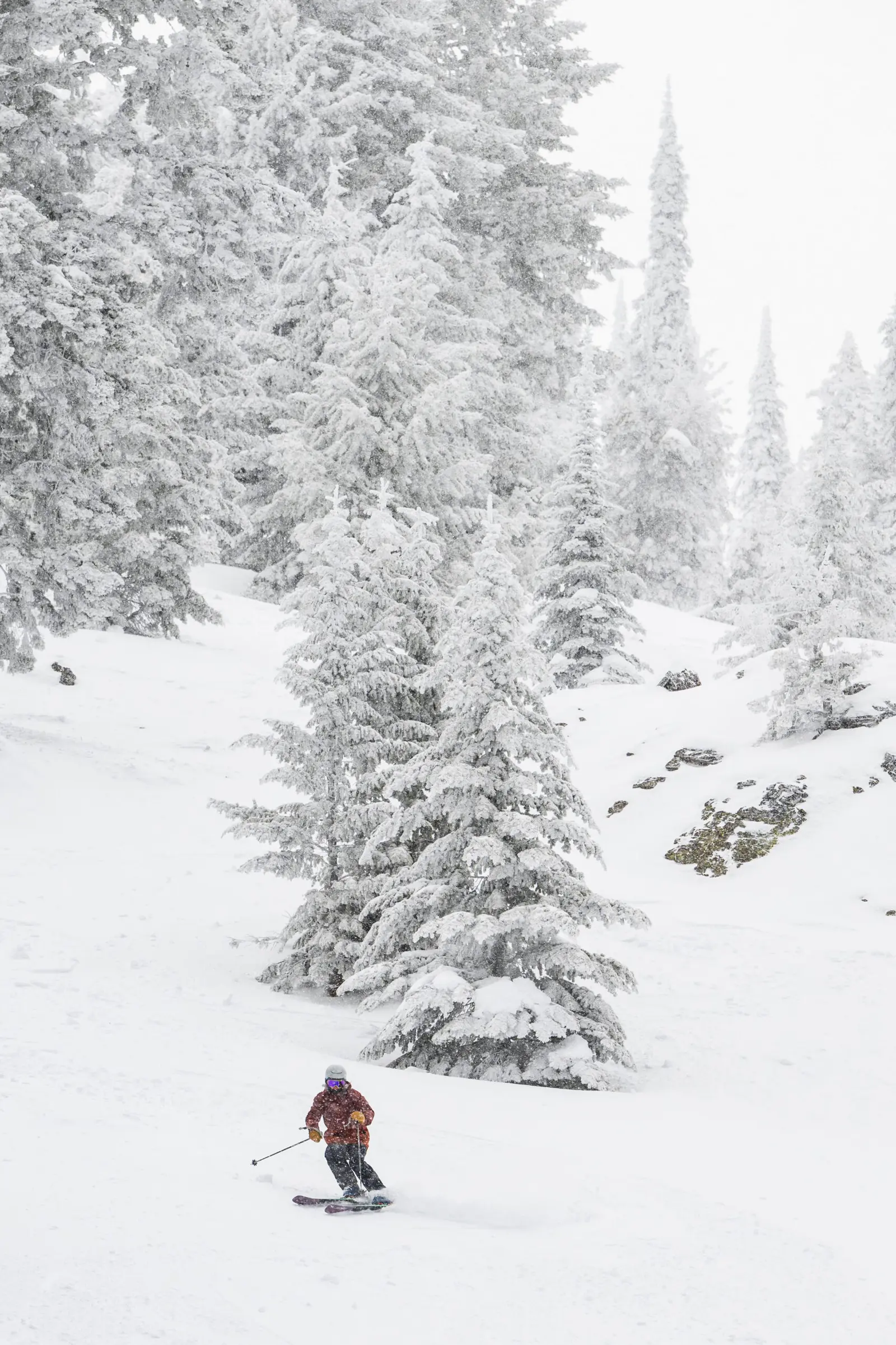 A lone skier navigates a snowy slope amidst a dense, snow-covered forest.