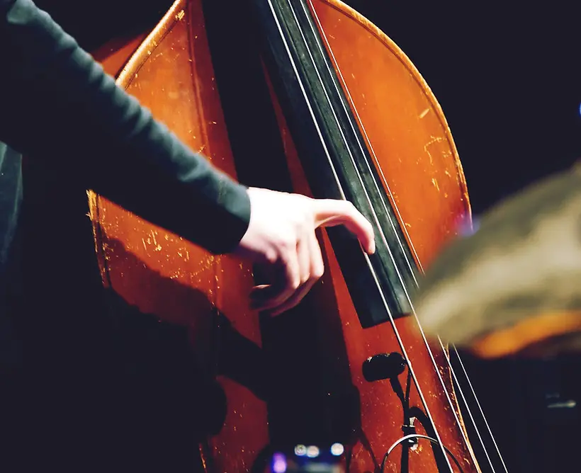 Double Bass Player