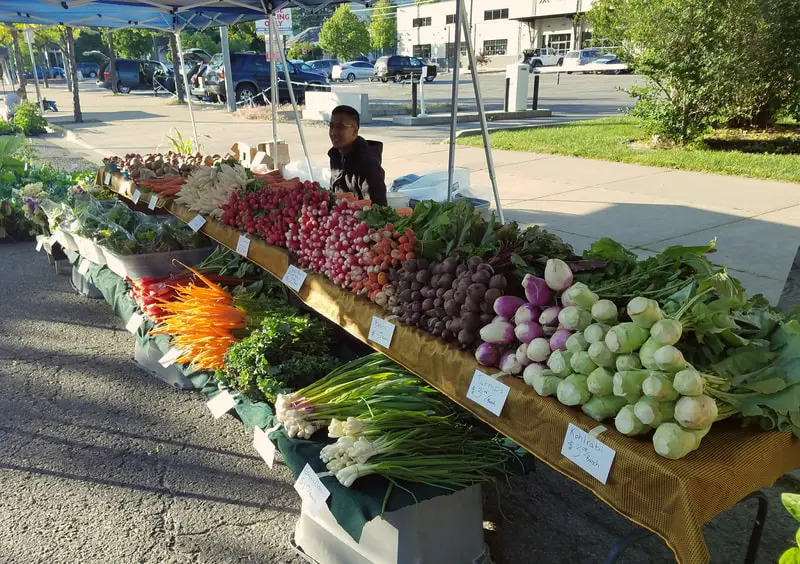 A vendor stands behind a table covered with various fresh vegetables at an outdoor market.