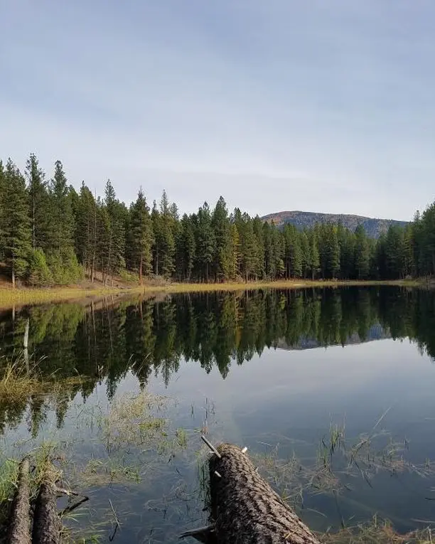 Kreis Pond