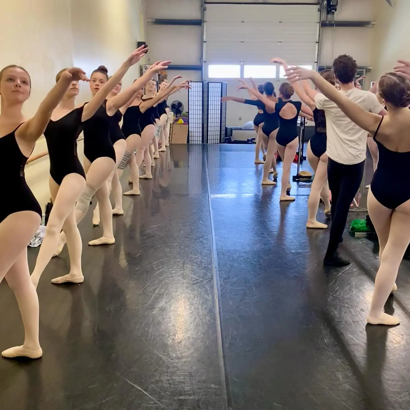 A group of ballet students in leotards practice dance movements in a studio.