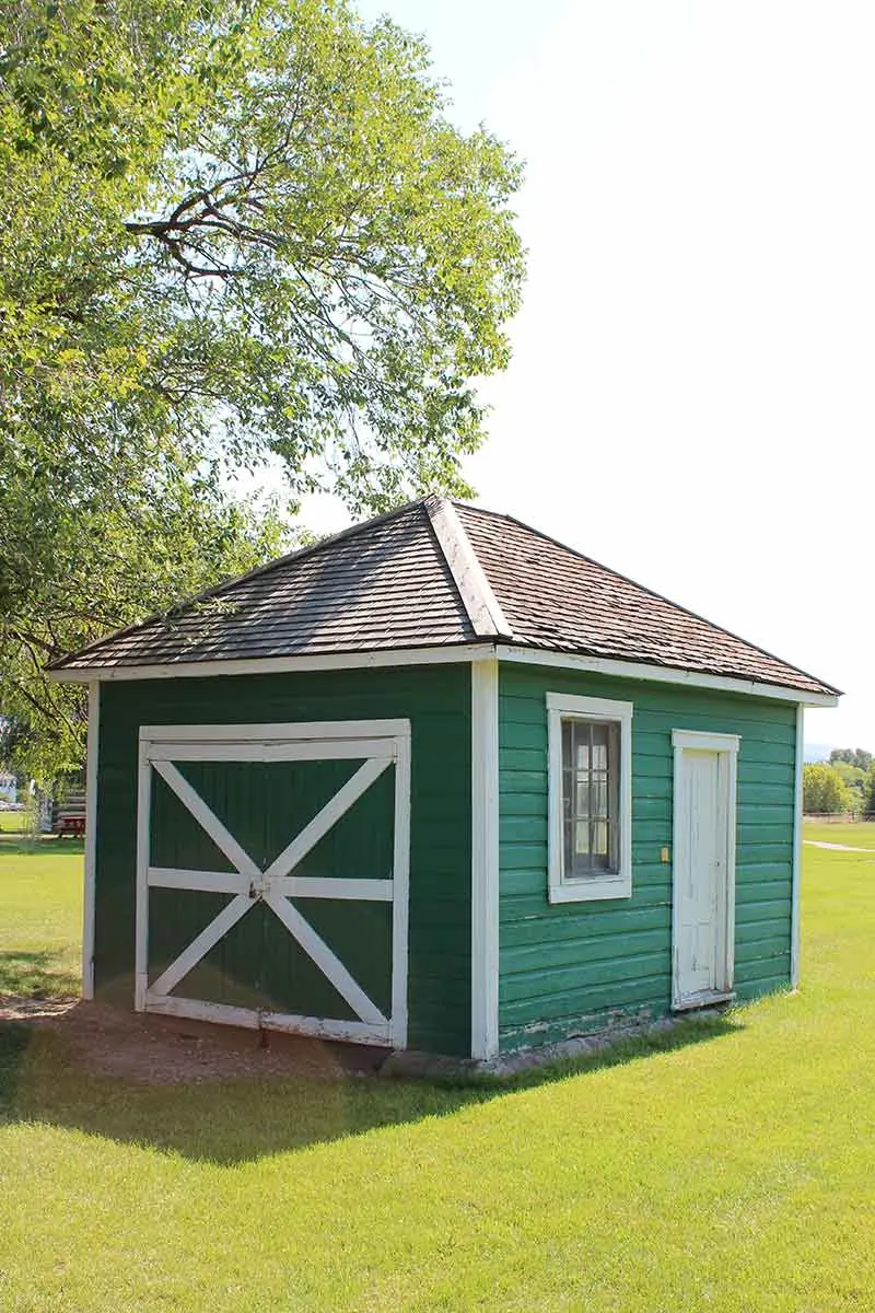 A small green wooden shed stands in a grassy field under a tree.