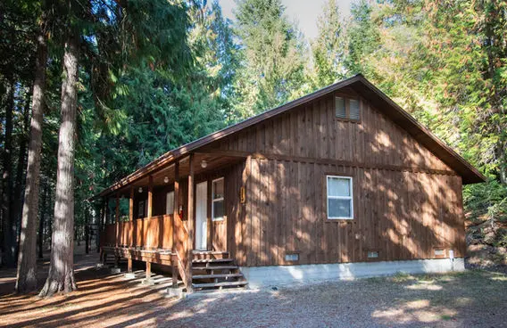 Cabin 1 2021
