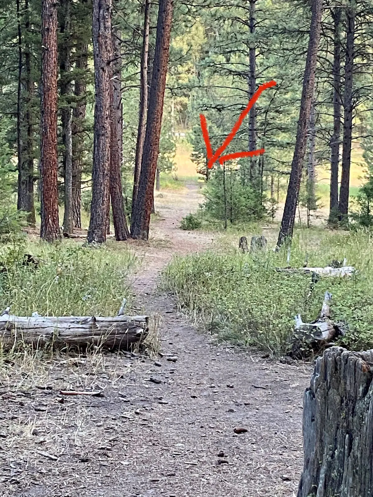 Hole 18