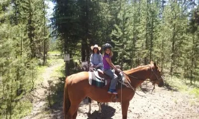 Two people ride horses on a trail through a forest.