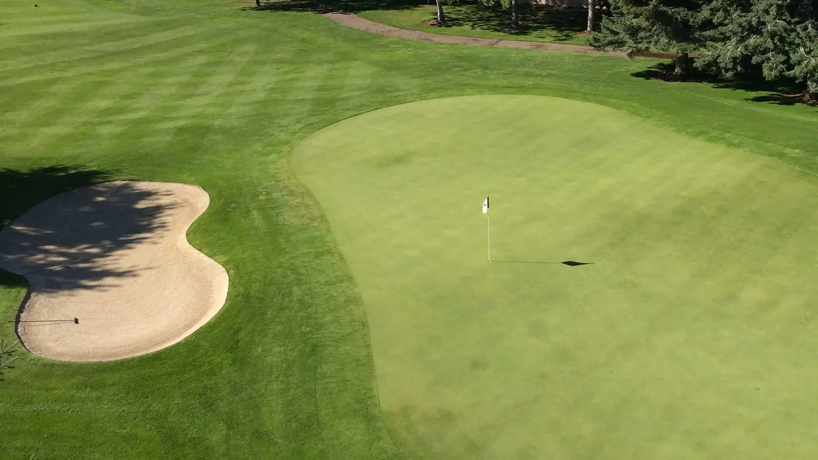 An aerial view of a golf course putting green with a sand trap alongside.