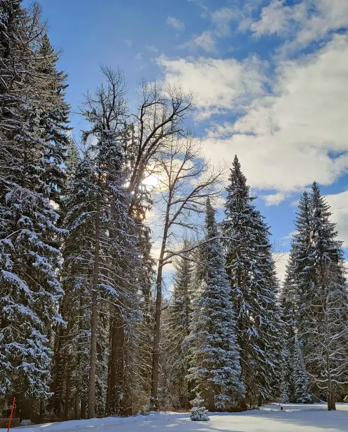Winter at Savenac.