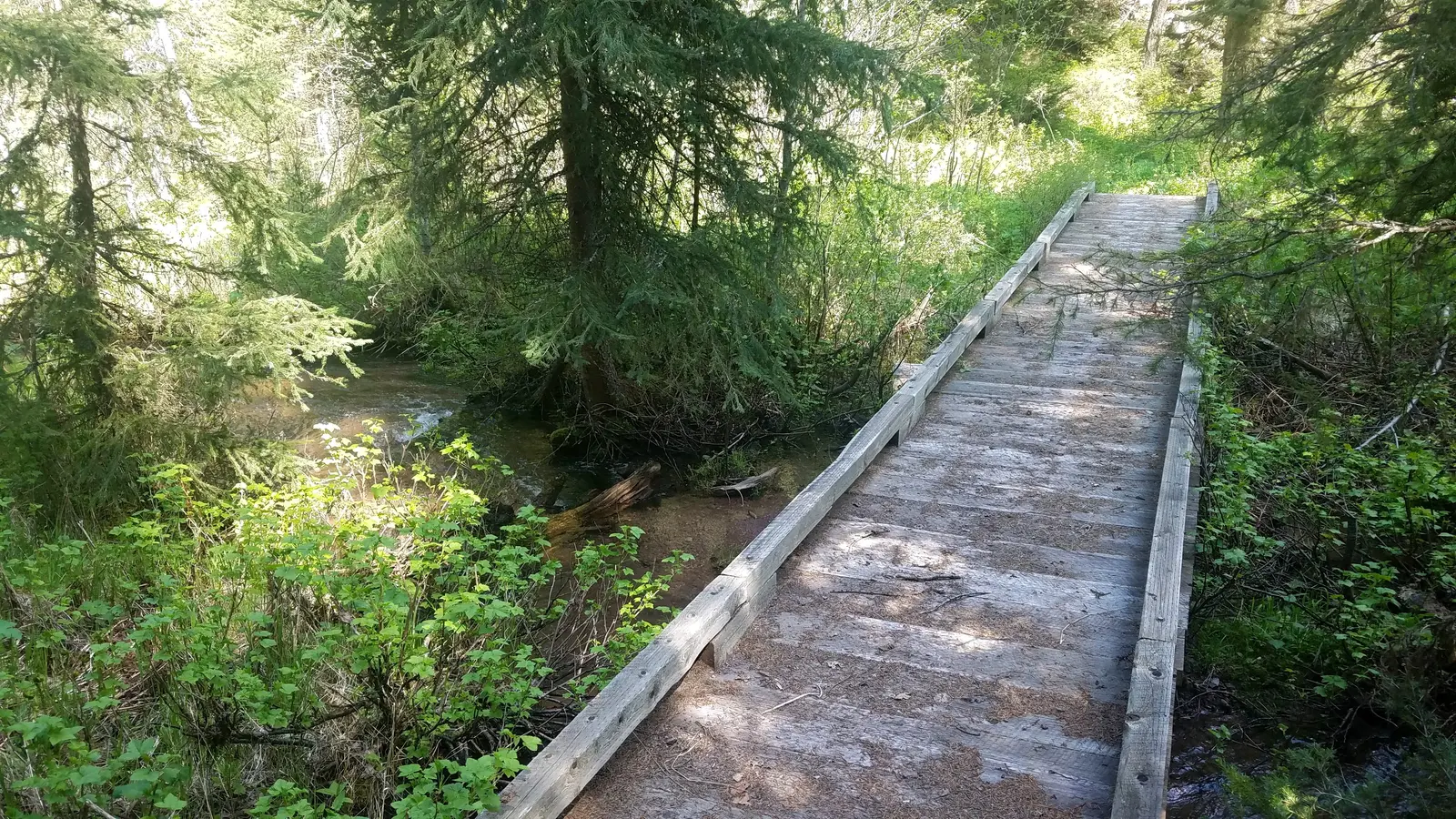 Albert Creek