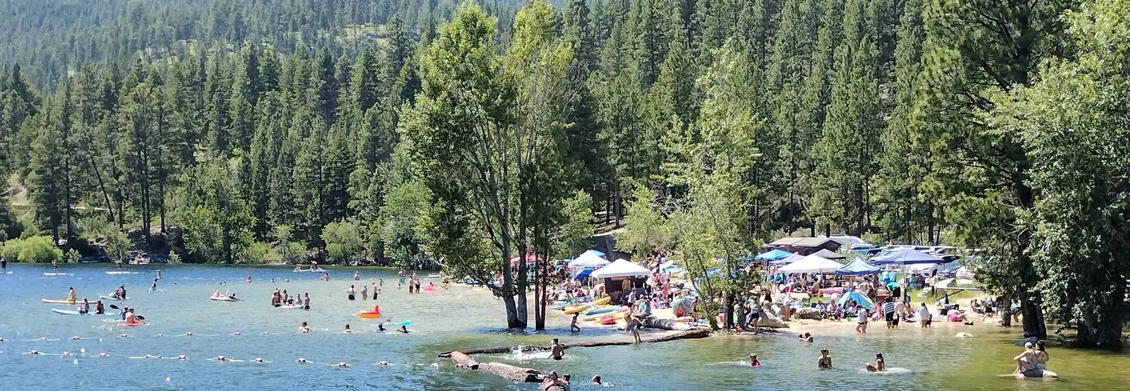 People enjoy swimming and relaxing at a crowded beach by a lake surrounded by a dense forest.