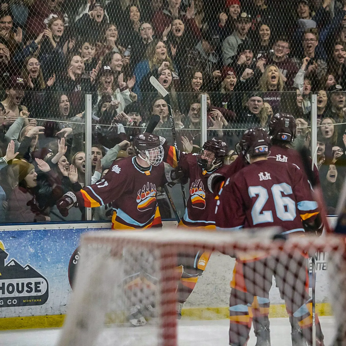 A hockey team celebrates a goal in front of a cheering crowd.